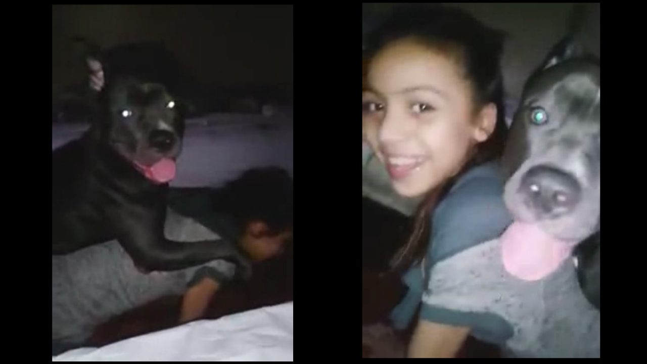 Colegiala se deja follar por su perro