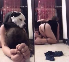 Desesperada por coger con el perro 2