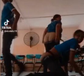 Chibola hacen travesuras en el salon